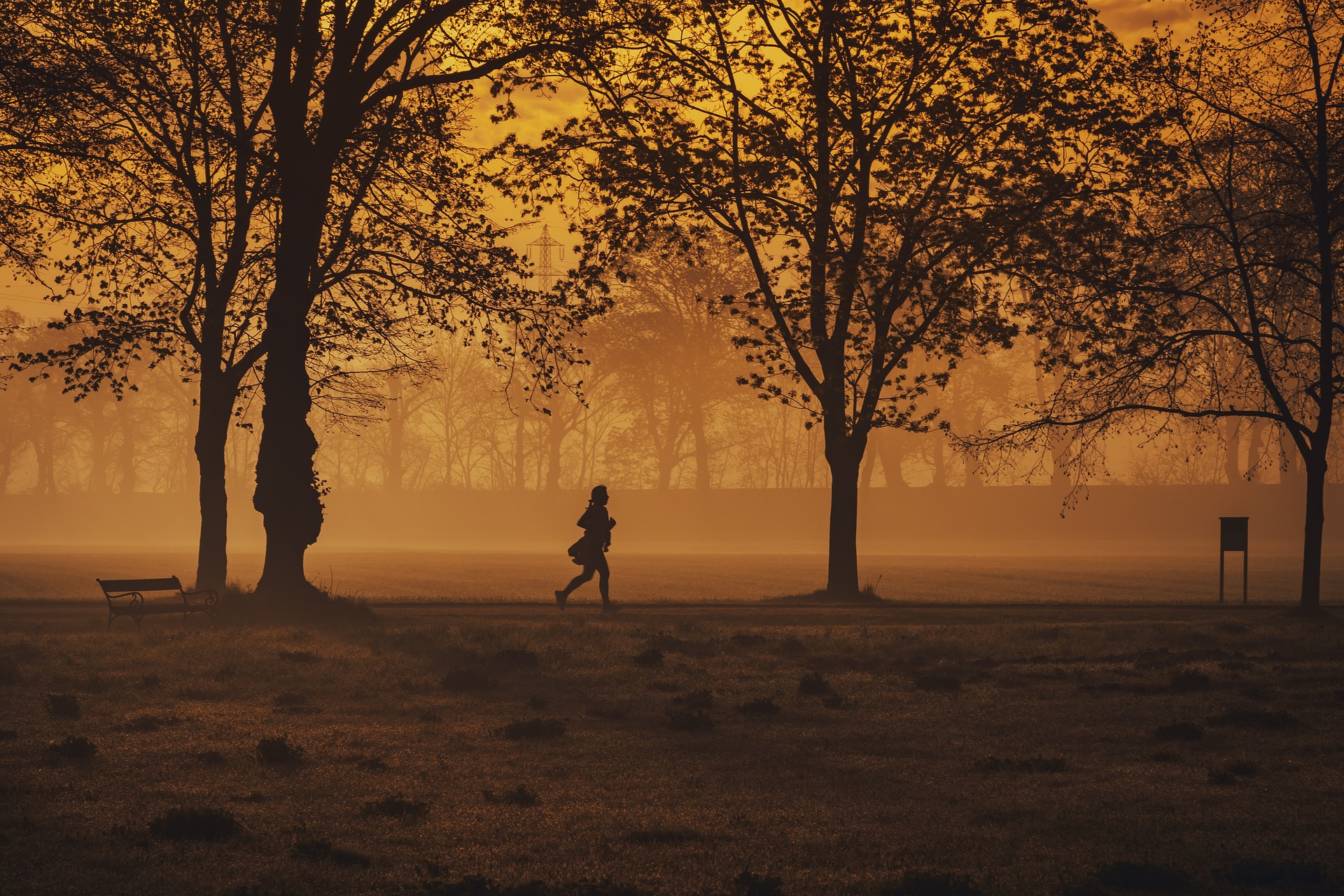Anjou Sport Nature