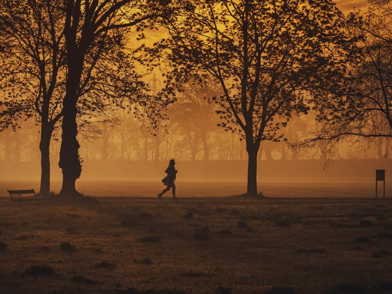 Anjou Sport Nature